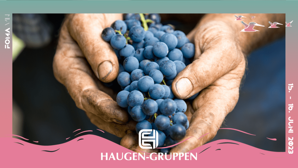 Haugen-Gruppen former menyen i vinuniverset